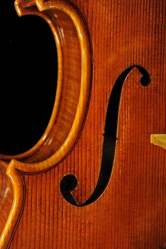 �t�F���[�� �o�C�I���� �N�����i �}�W�R