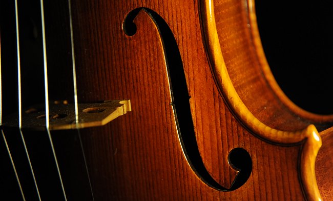 �t�F���[�� �o�C�I���� �N�����i �}�W�R