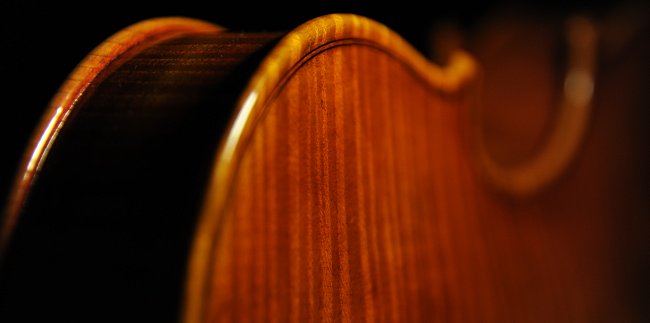 �t�F���[�� �o�C�I���� �N�����i �}�W�R