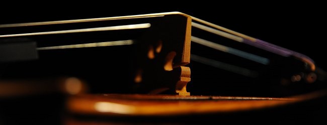 �}�W�R �o�C�I���� Ferrari Violin MAGICO ITALY