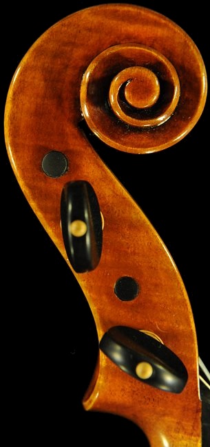 �t�F���[�� �o�C�I���� �C�^���A