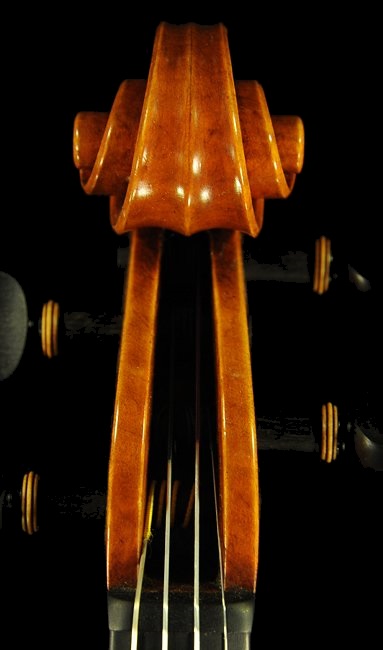 �t�F���[�� �o�C�I���� �C�^���A