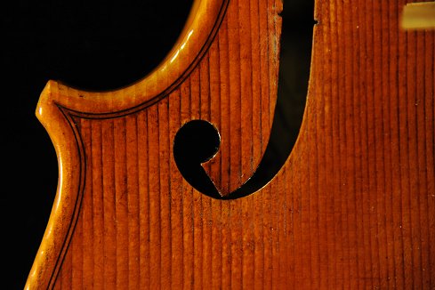 �t�F���[�� �o�C�I���� �C�^���A