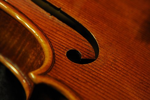 �t�F���[�� �o�C�I���� �C�^���A