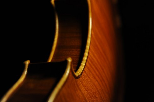 �A���h���A �V���b�c �H�[ �o�C�I���� �}�W�R