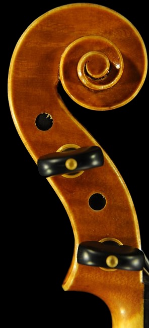 �A���h���A �V���b�c �H�[ �o�C�I���� �}�W�R