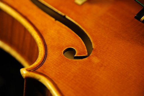 �A���h���A �V���b�c �H�[ �o�C�I���� �}�W�R