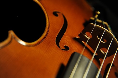 �A���h���A �V���b�c �H�[ �o�C�I���� �}�W�R