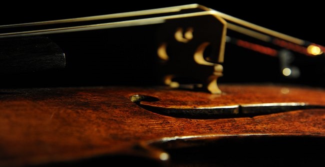 Racz Pal Hungary Viola