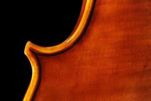 �f�B�r�A�b�W�� ���t�@�G�� �o�C�I���� �}�W�R