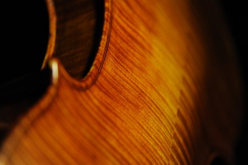 Labeled Carolus Badarello Hungarian Violin