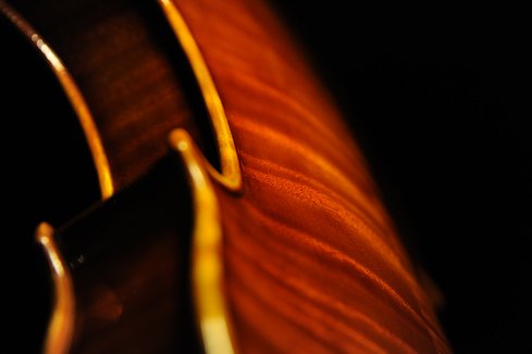 Violin Magico Di Biagio Raffaello