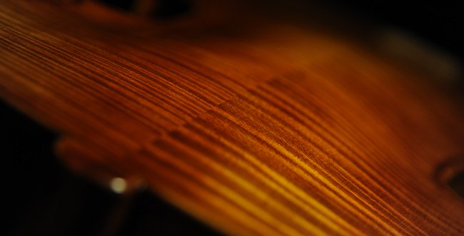 �o�_���b�� ���x�� �n���K���A�� �o�C�I����