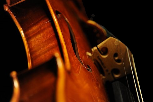 Violin Magico Di Biagio Raffaello