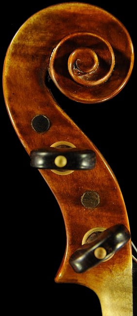 Labeled Carolus Badarello Hungarian Violin