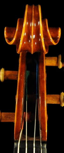 �o�C�I���� �}�W�R Di Biagio