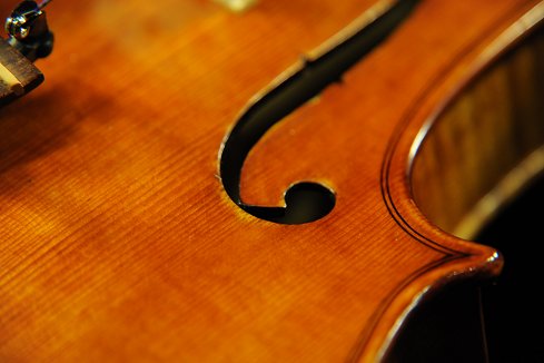 �o�_���b�� ���x�� �n���K���A�� �o�C�I����