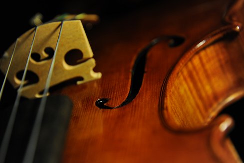 Labeled Carolus Badarello Hungarian Violin