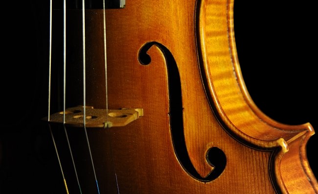 ���[�c �o�C�I���� �n���K��