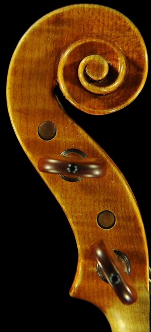 ���[�c �o�C�I���� �n���K��