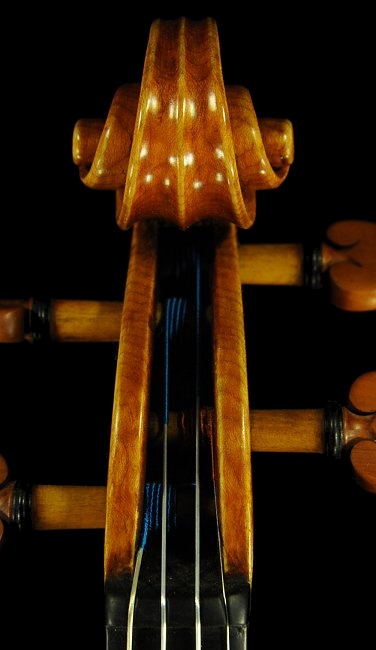 ���[�c �o�C�I���� �n���K��