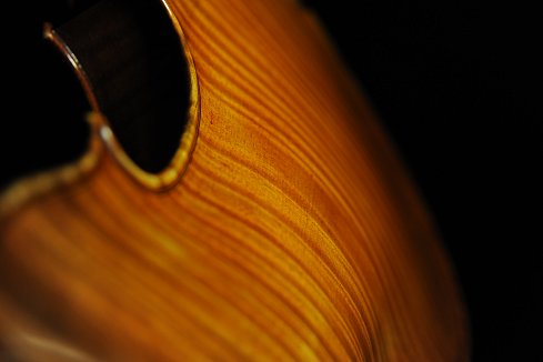 ���[�c �o�C�I���� �n���K��