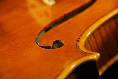 shuichi takahashi cremona italy Viola