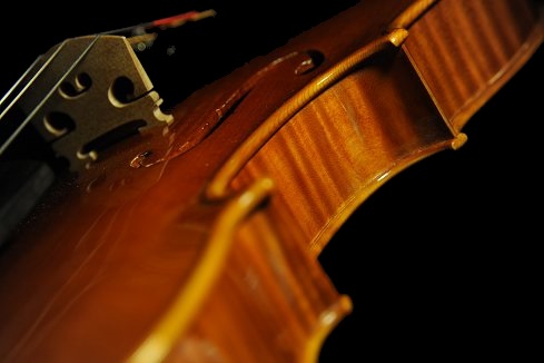 shuichi takahashi cremona italy Viola