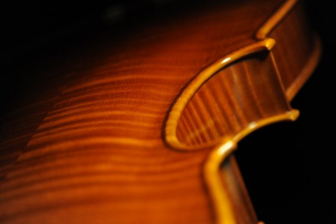 shuichi takahashi cremona italy Viola