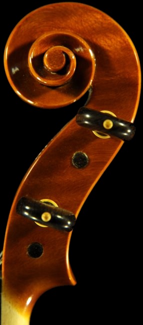 shuichi takahashi cremona italy Viola