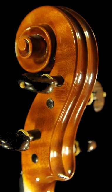 shuichi takahashi cremona italy Viola