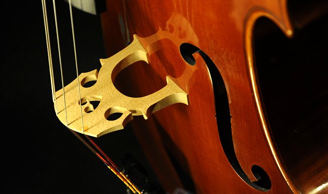 �t�����`���C�^���A �`�F�� �t�����X �C�^���A