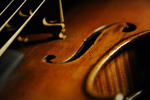 �K�� �t�����\�� �t�����X �p�� �o�C�I����