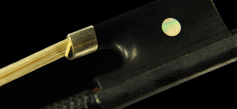 ���R�u ���[���[ �| Violin Frenchi