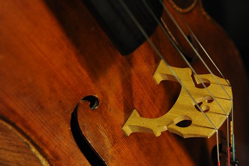 Giuseppe Castagnino Cello Italy