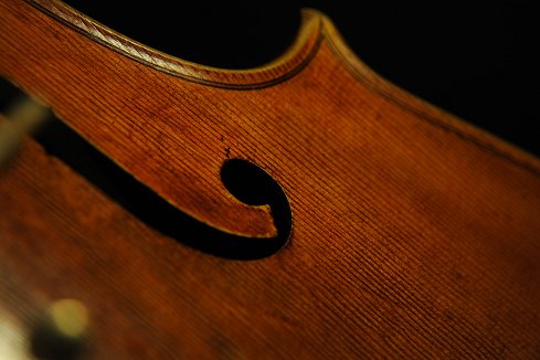 �_���I�A�O�b�c�B �C�^���A