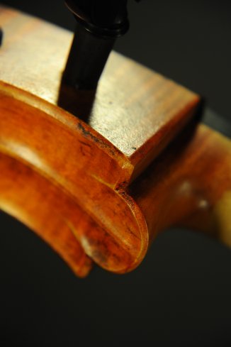 �_���I�A�O�b�c�B �C�^���A