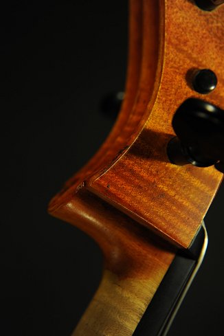 Dario Aguzzi Cello Italy