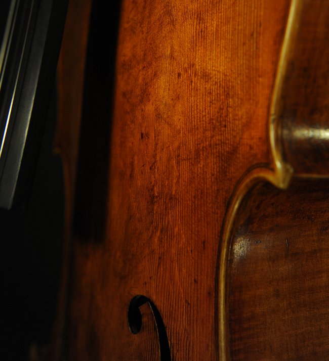 �_���I�A�O�b�c�B �C�^���A