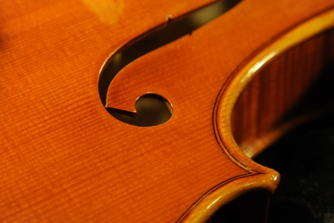 Viola �r�I�� ���E�� �ؖ���