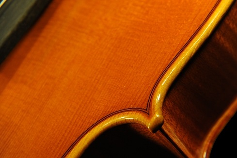 Viola �r�I�� ���E�� �ؖ���