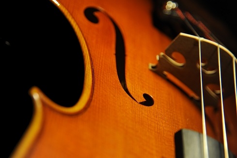 Viola �r�I�� ���E�� �ؖ���