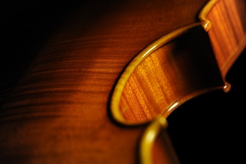 Viola �r�I�� ���E�� �ؖ���