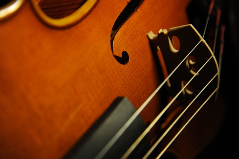 �r�I�� �t�����X �C�^���A