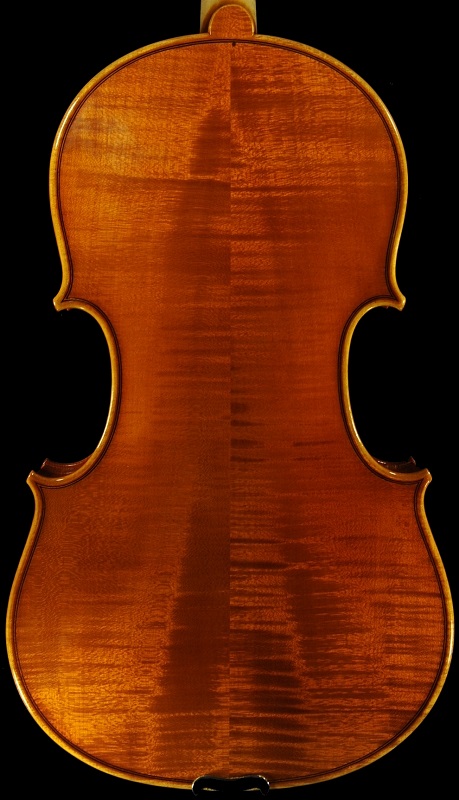 Viola �r�I�� ���E�� �ؖ���