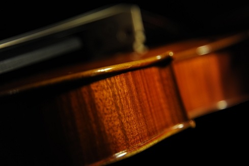 Viola �r�I�� ���E�� �ؖ���