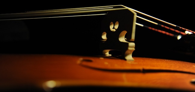 Viola �r�I�� ���E�� �ؖ���