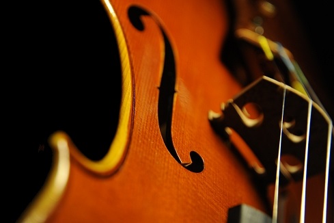 �o�C�I���� �C�^���A �f�B�r�A�b�W�� �H�[