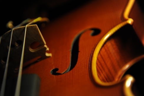 �C�^���A �o�C�I���� �f�B�r�A�b�W�� LABO