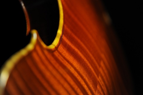 �o�C�I���� �C�^���A �f�B�r�A�b�W�� �H�[